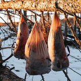 Frost-vale Game Bags